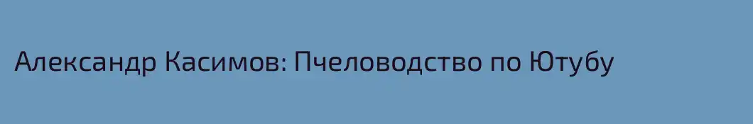 Александр Касимов: Пчеловодство по Ютубу